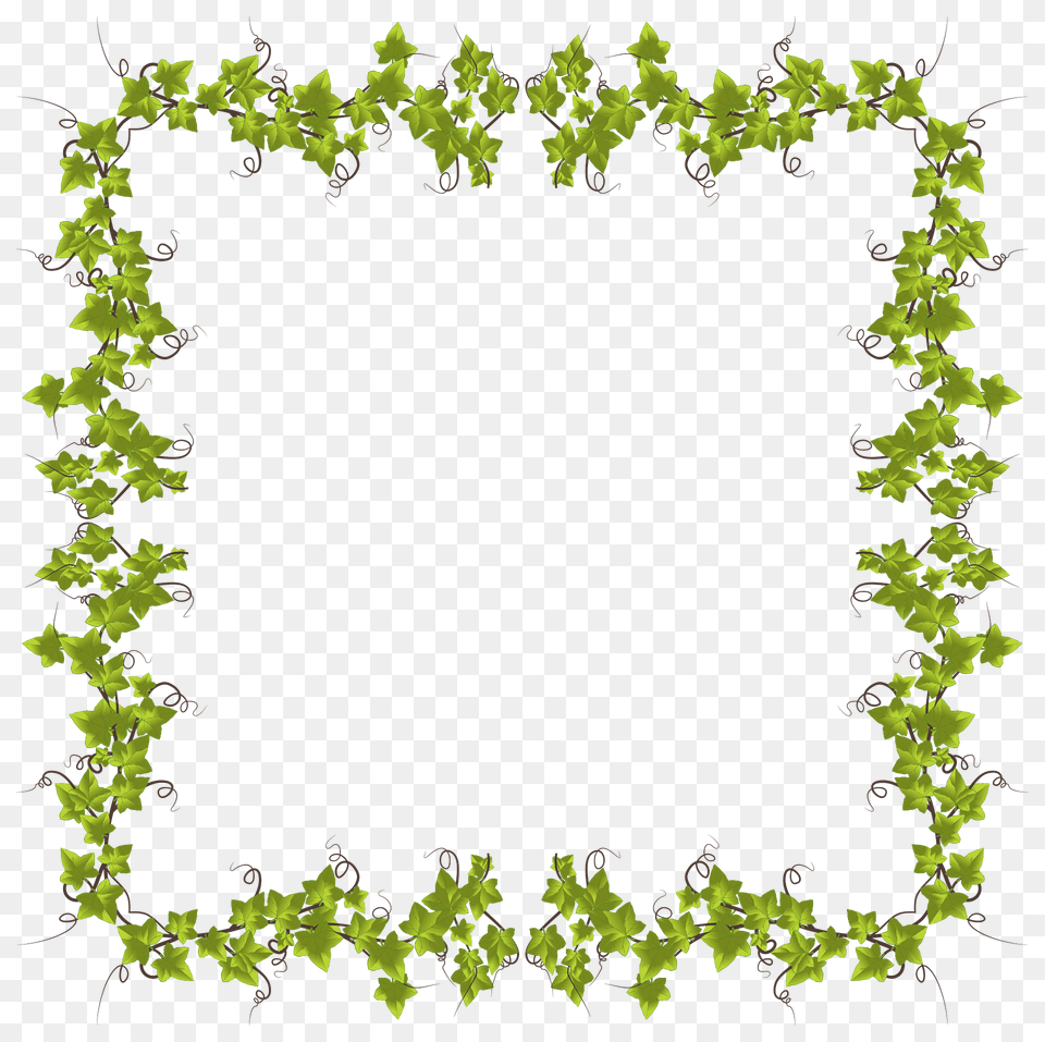 Ivy Frame Clipart, Plant, Pattern, Accessories, Flower Free Transparent Png
