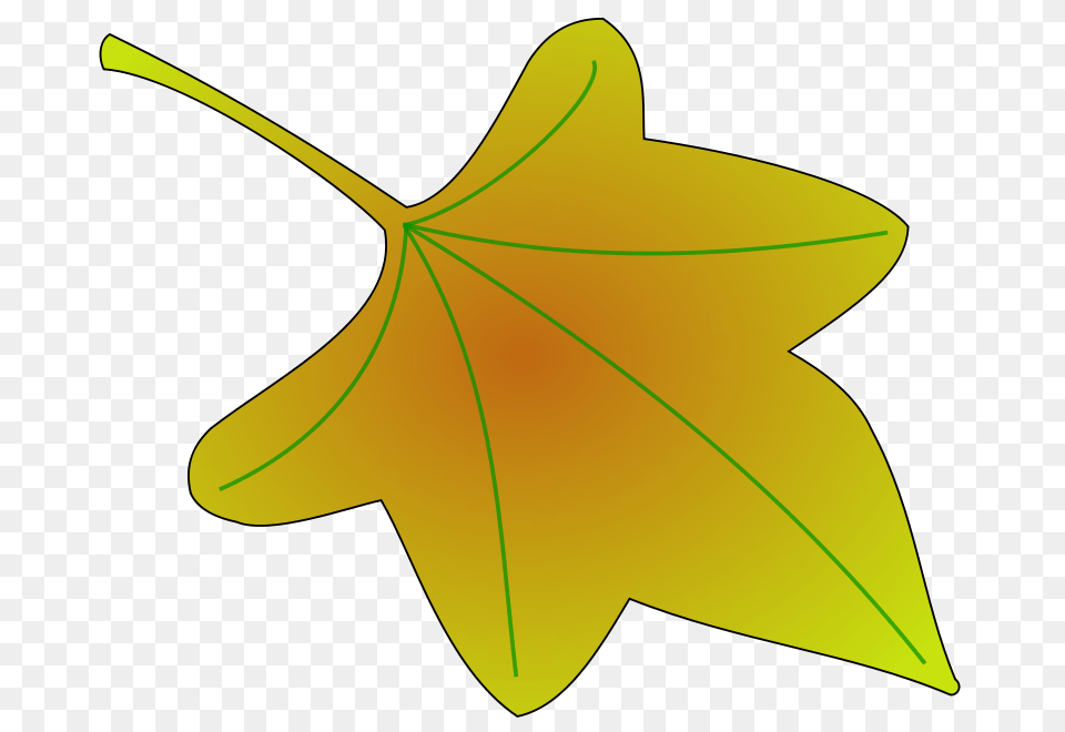 Ivy Leaf Clip Art, Maple Leaf, Plant, Tree, Bow Free Png