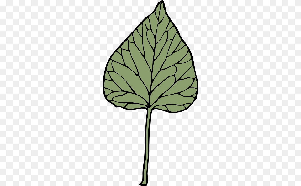 Ivy Leaf Clip Art, Plant, Person Free Png