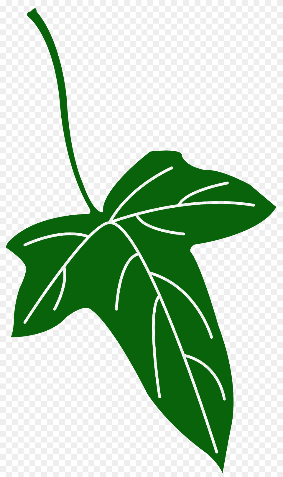Ivy Leaf Silhouette, Plant, Tree, Bow, Weapon Png Image