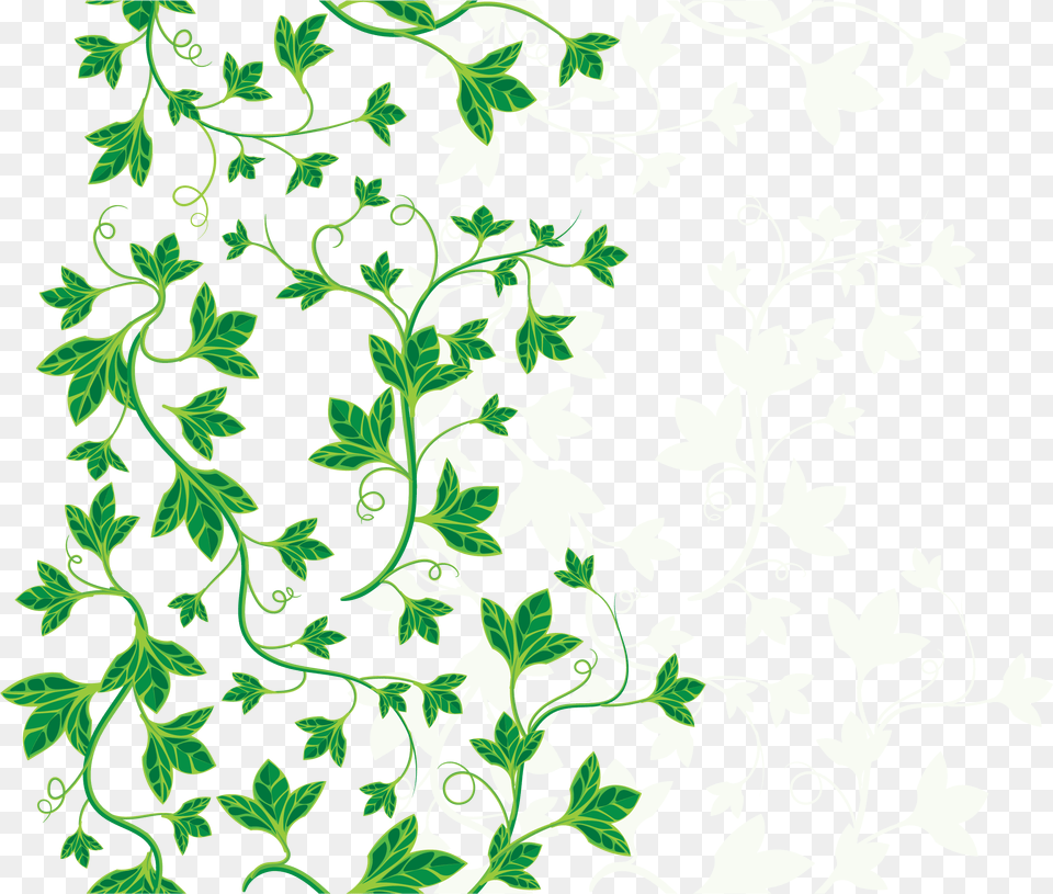 Ivy Leaves, Art, Floral Design, Graphics, Pattern Png