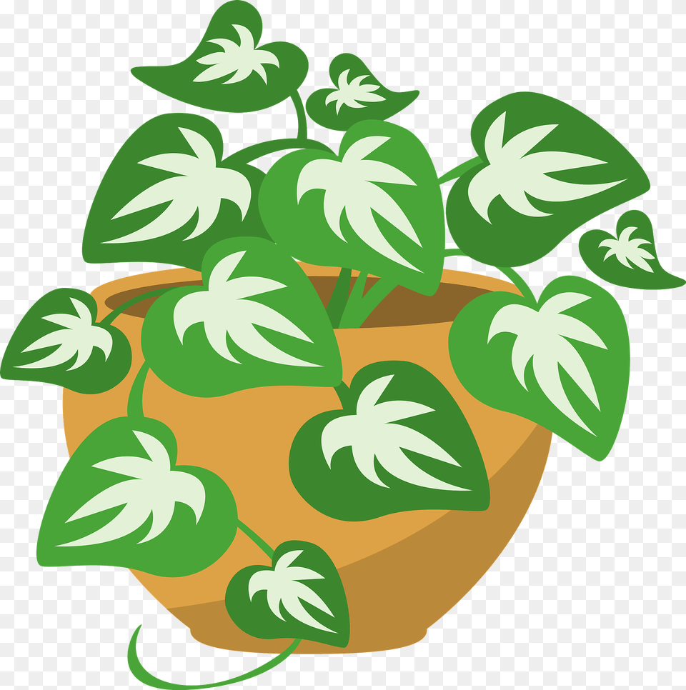 Ivy Pot Clipart, Plant, Vase, Jar, Leaf Png
