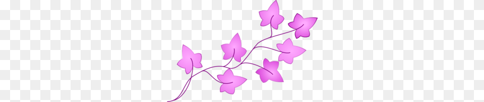 Ivy Purple Clip Art, Flower, Orchid, Plant Png Image