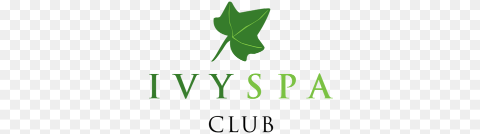 Ivy Spa Club Revision Denver, Green, Leaf, Plant, Tree Png Image