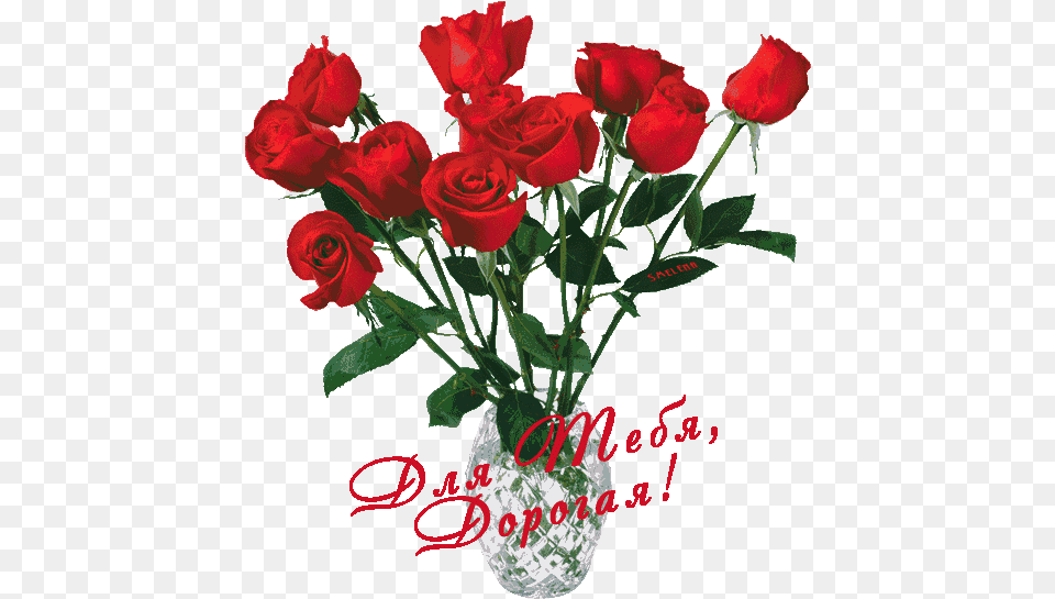 Izobrazhenie Dlya Plejkasta Aesthetic Transparent Rose, Flower, Flower Arrangement, Flower Bouquet, Jar Png