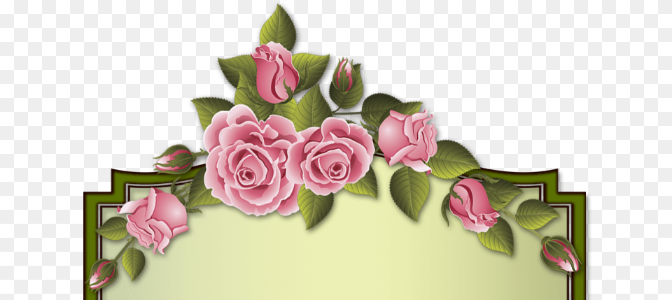 Izobrazhenie Dlya Plejkasta Garden Roses, Art, Floral Design, Flower, Graphics Free Transparent Png