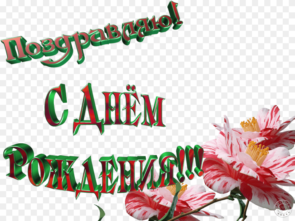Izobrazhenie Dlya Plejkasta Lily, Flower, Plant, Anther, Petal Free Transparent Png