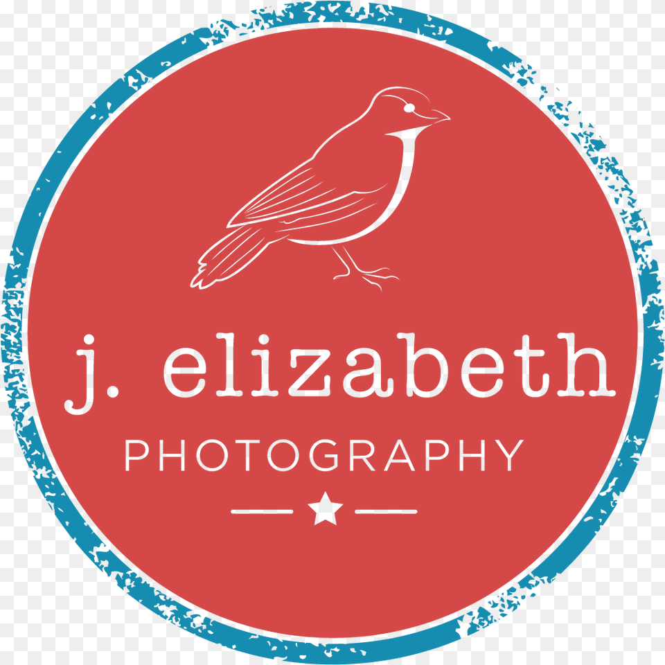 J Elizabeth Photography Glitterati Media, Animal, Bird Free Png Download