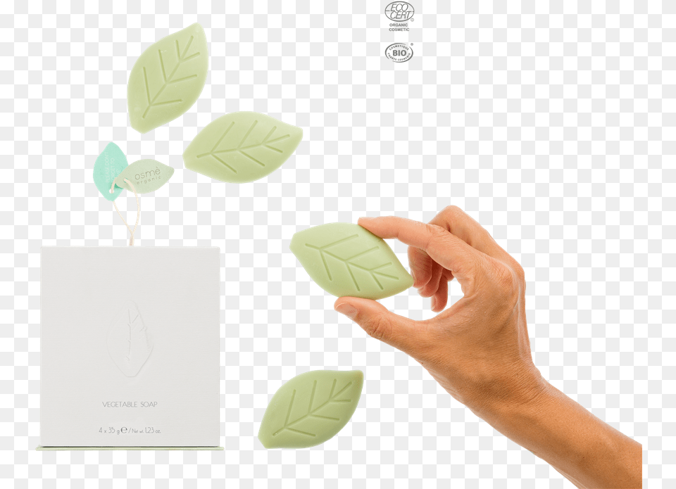 Jabon En Forma De Hoja, Plant, Leaf, Body Part, Finger Free Png