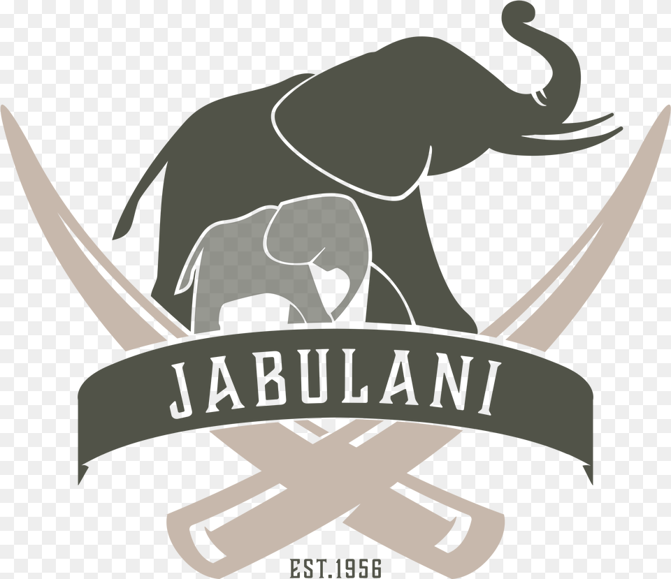 Jabulani Jabulani Safari Lodge, Animal, Elephant, Mammal, Wildlife Png Image