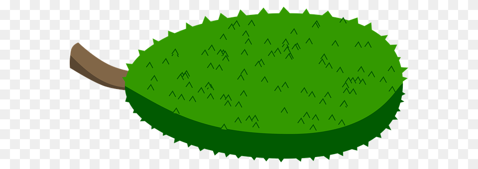 Jack Fruit Cucumber, Food, Plant, Produce Free Transparent Png