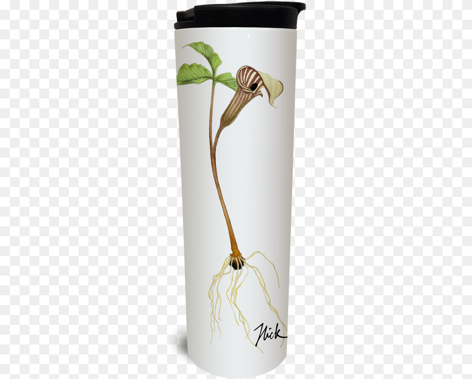 Jack In The Pulpit Tumbler Watermark, Flower, Plant Free Transparent Png
