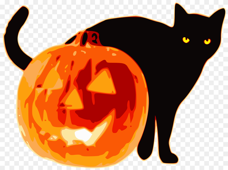 Jack O Lanterns Image Background, Animal, Cat, Mammal, Pet Free Png