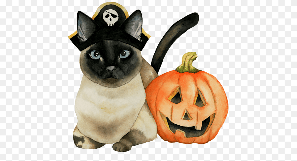 Jack O39 Lantern By Namibear Gatos Para Halloween En Cermica, Animal, Cat, Mammal, Pet Free Transparent Png