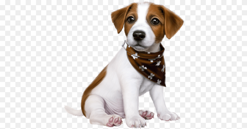 Jack Russell Cartoon Cute, Accessories, Pet, Mammal, Puppy Free Transparent Png