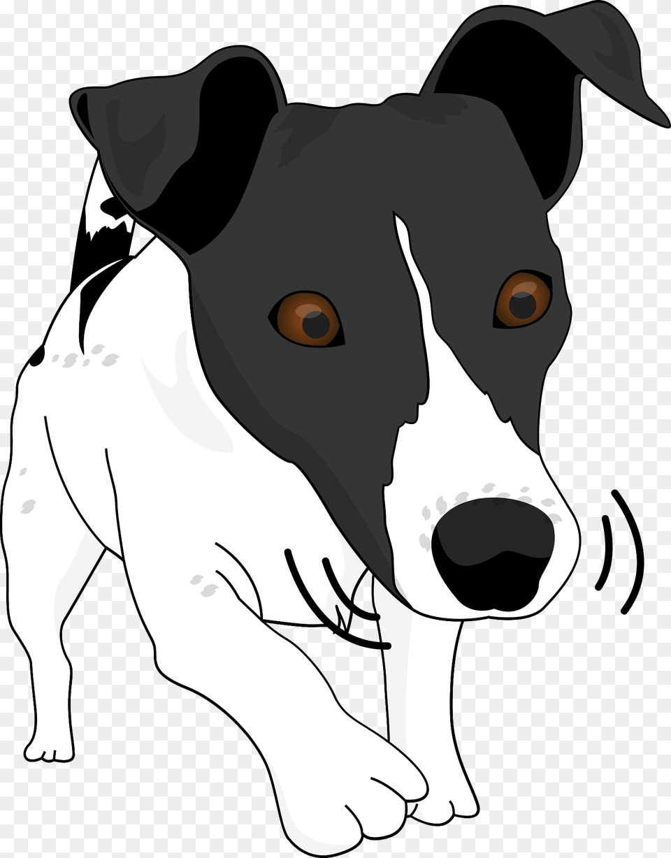 Jack Russell Puppy Clipart, Animal, Mammal, Wildlife, Bear Png