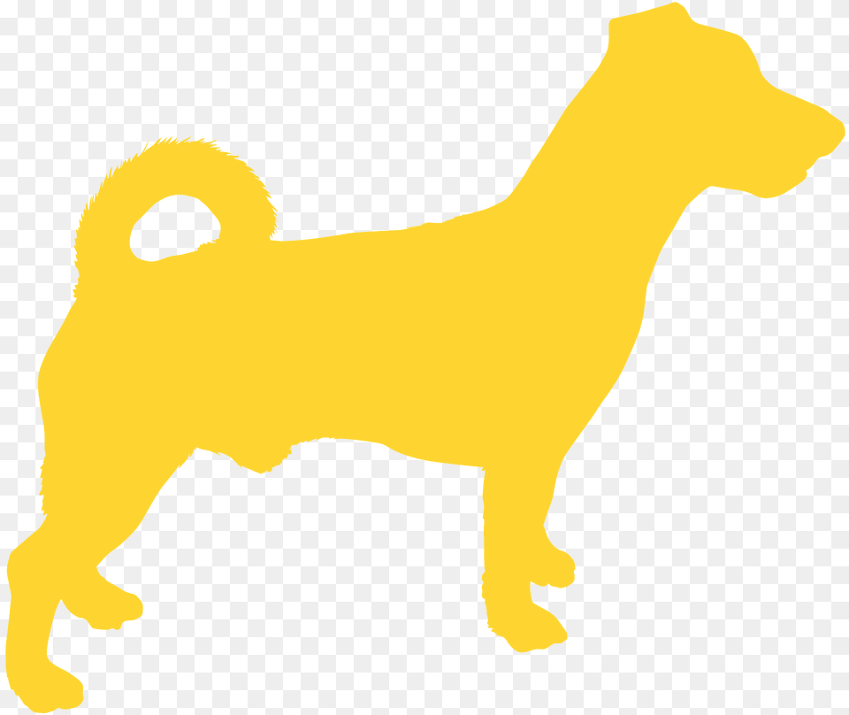 Jack Russell Silhouette, Animal, Bear, Mammal, Wildlife Png