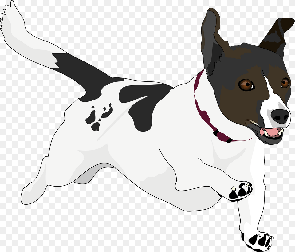 Jack Russell Terrier Clipart, Accessories, Strap, Animal, Canine Free Png