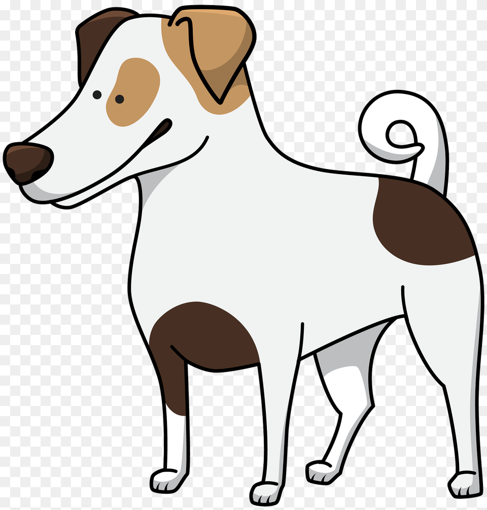 Jack Russell Terrier Clipart, Animal, Canine, Dog, Mammal Free Transparent Png