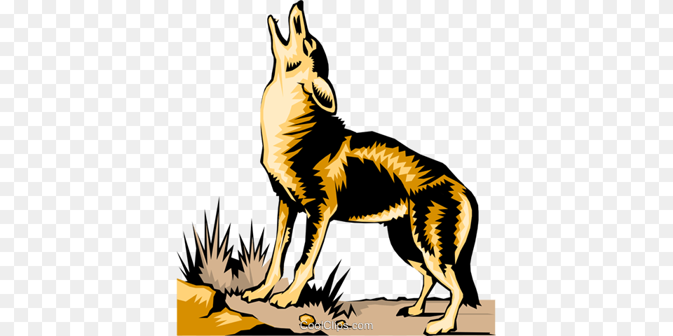 Jackal, Animal, Coyote, Mammal, Dinosaur Free Png Download