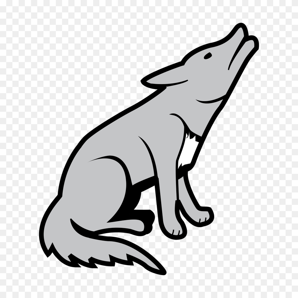 Jackal, Animal, Fish, Sea Life, Shark Free Transparent Png