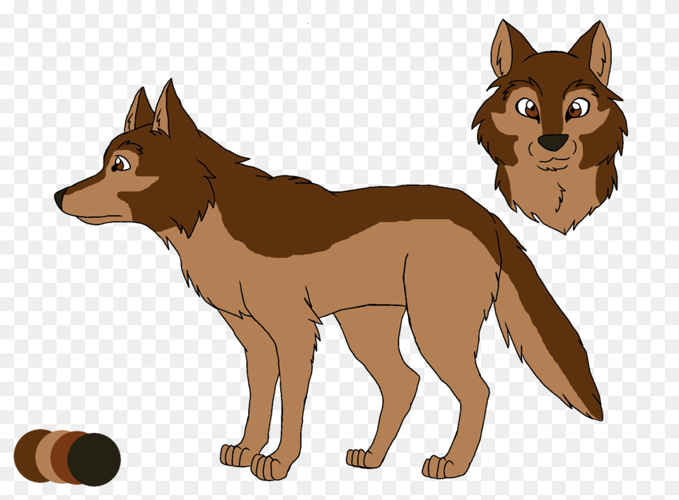 Jackal, Animal, Coyote, Mammal, Cat Png Image