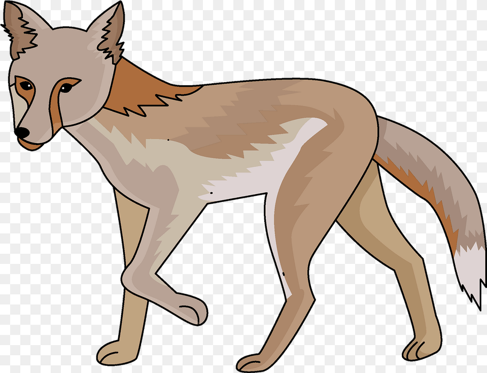 Jackal Clipart Download Creazilla Swift Fox, Animal, Coyote, Mammal, Canine Png Image
