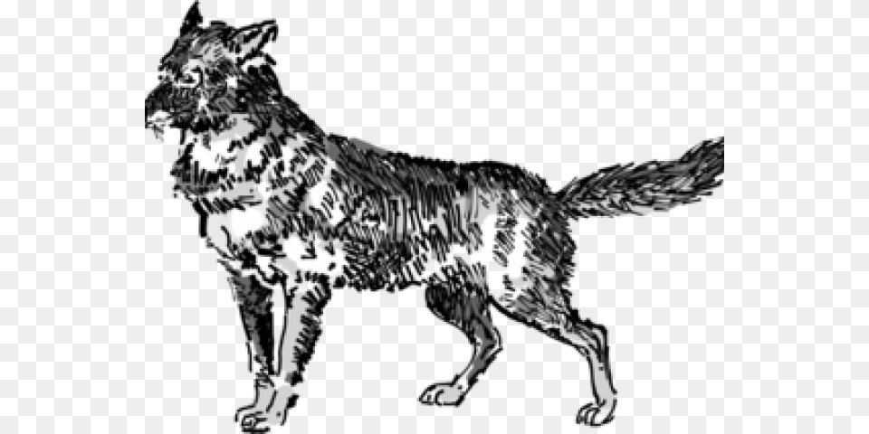 Jackal Clipart Public Domain Wolf Free Transparent Png