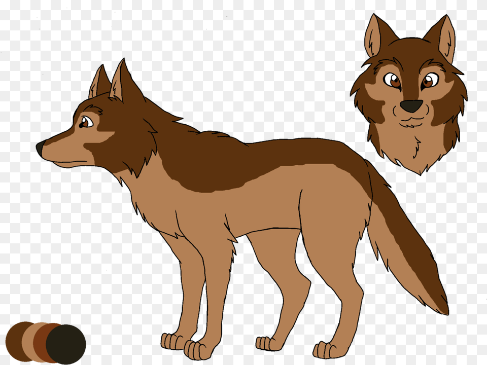 Jackal Coyote, Animal, Mammal, Lion, Wildlife Png