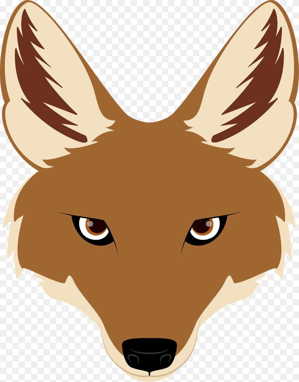 Jackal Face Clipart, Animal, Coyote, Mammal, Shark Free Png