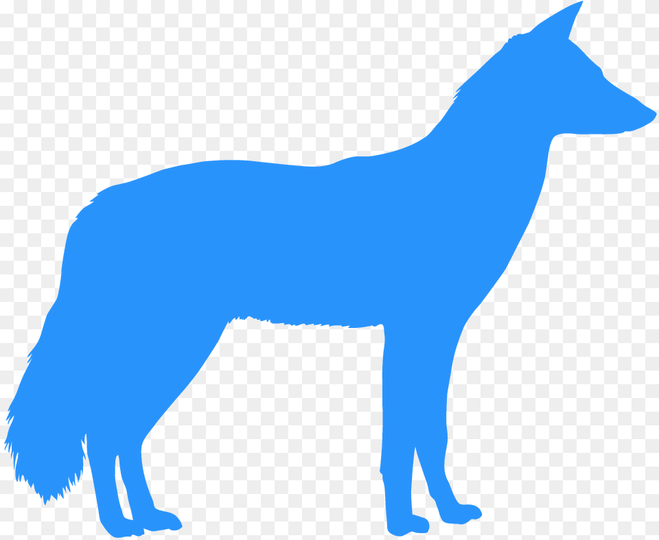 Jackal Silhouette, Animal, Coyote, Mammal, Person Free Png
