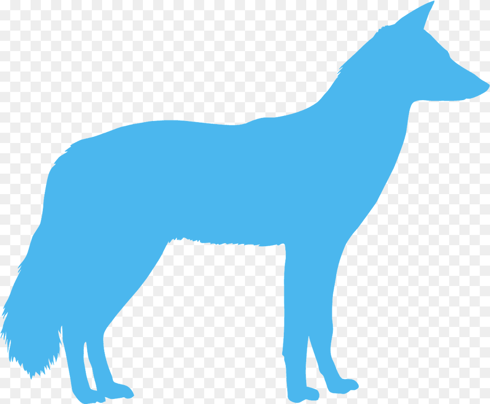Jackal Silhouette Jackal Silhouette, Animal, Coyote, Mammal, Adult Png Image