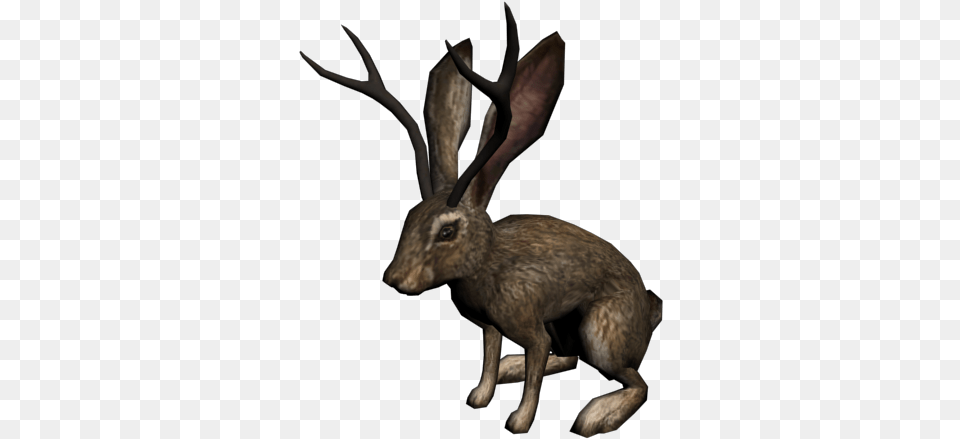 Jackalope, Animal, Deer, Mammal, Wildlife Free Png