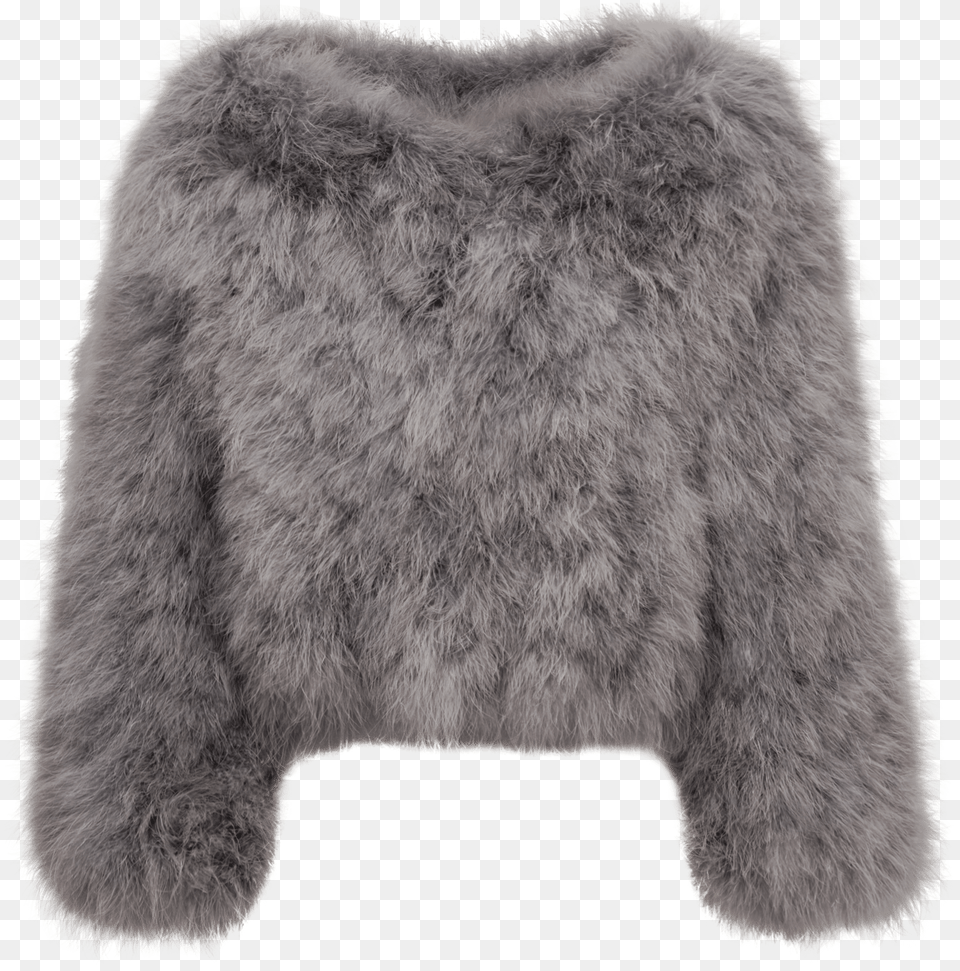 Jacket, Animal, Bear, Clothing, Fur Png