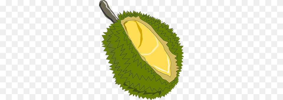 Jackfruit Durian, Food, Fruit, Plant Free Png