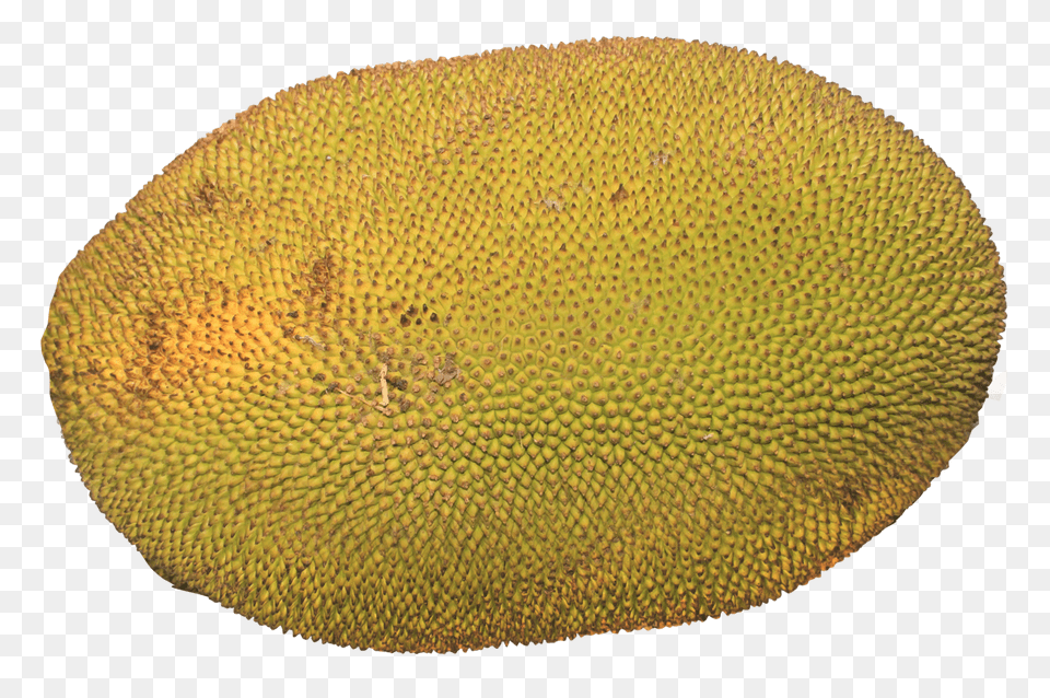 Jackfruit Food, Fruit, Plant, Produce Png Image