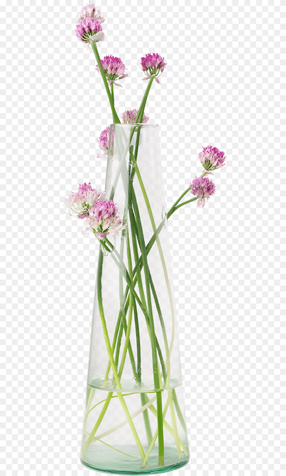 Jackie Chan Meme Jarrn De Flores, Flower, Flower Arrangement, Jar, Plant Free Transparent Png