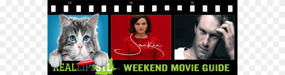 Jackie Starring Natalie Portman Opens In Movie Theaters Nine Lives Una Vita Da Gatto Blu Ray Lucky Red, Adult, Person, Woman, Female Free Png Download