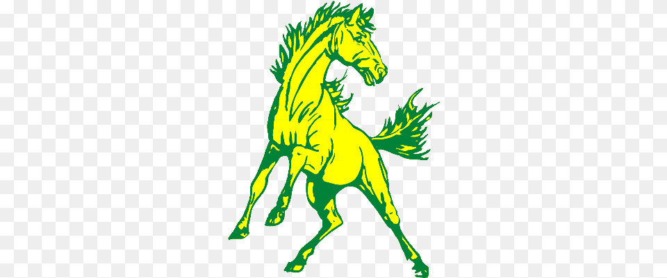 Jackson Olin Mustangs Basketball Clipart Today Jackson Olin Mustangs Logo, Animal, Colt Horse, Horse, Mammal Png