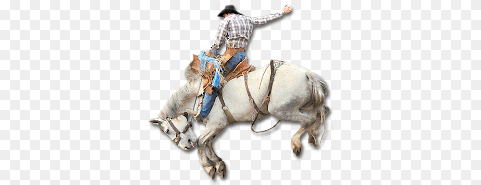 Jackson Rancheria Challenge Of Champions Saddle Bronc Riding, Rodeo, Adult, Male, Man Free Transparent Png
