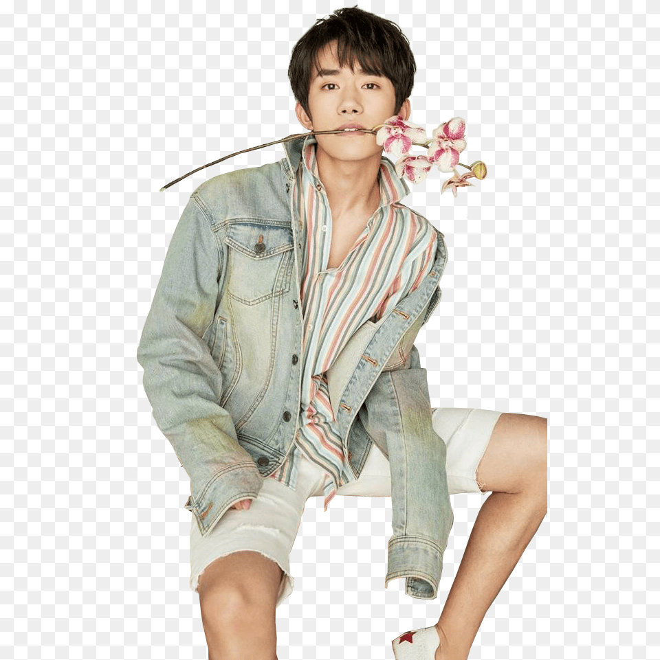Jackson Yee Yi Yang Qian Xi Photoshoot, Jacket, Pants, Coat, Clothing Free Png Download