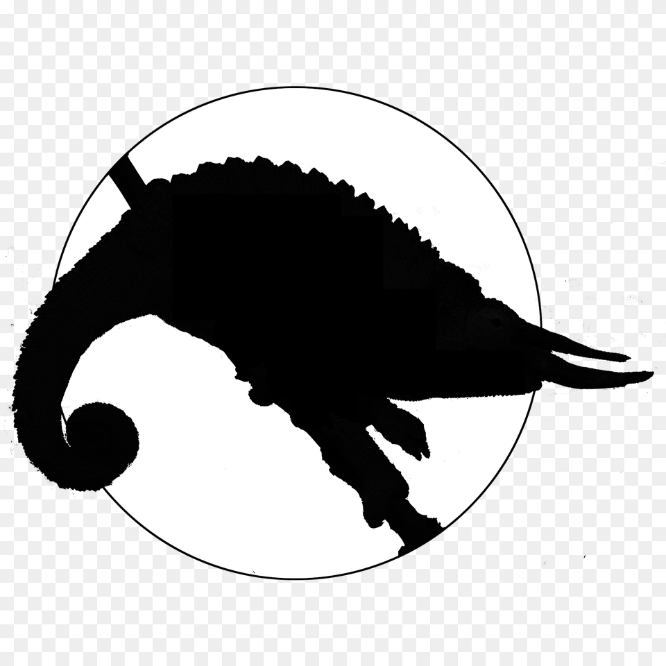 Jacksons Chameleon Information Care, Silhouette, Stencil Free Transparent Png