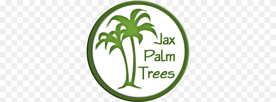 Jacksonville Florida Palm Trees U2013 Jacksonvilleu0027s Tree Source First Travel, Herbal, Herbs, Leaf, Palm Tree Free Png
