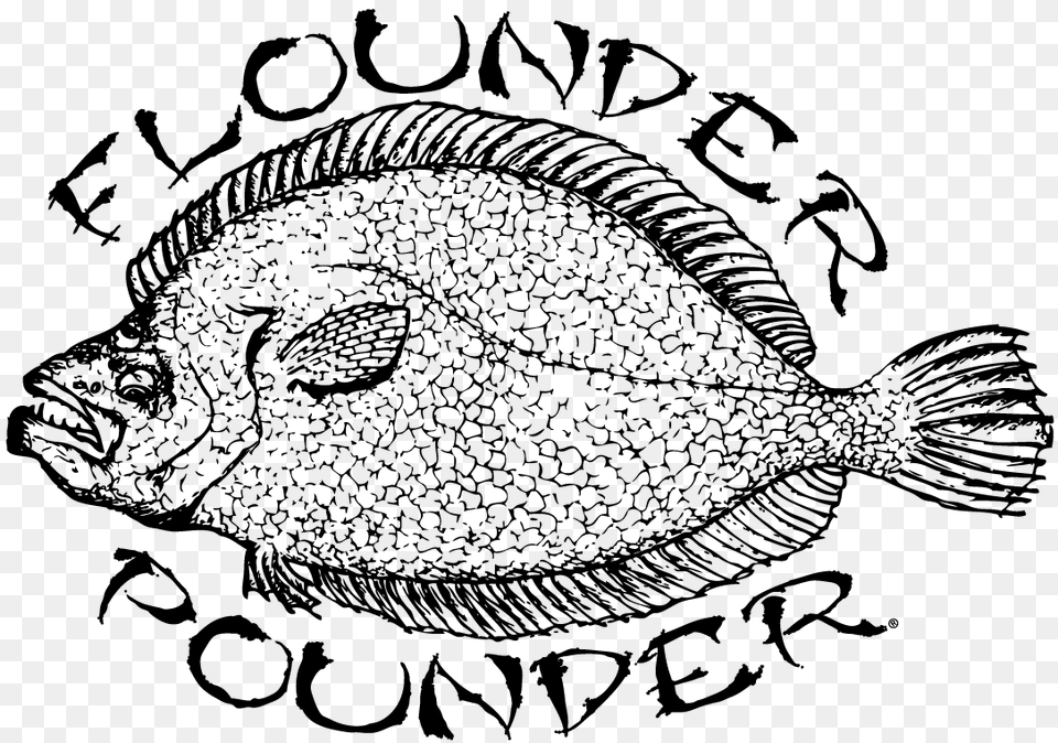 Jacksonville Flounder Pounder, Gray Free Png Download