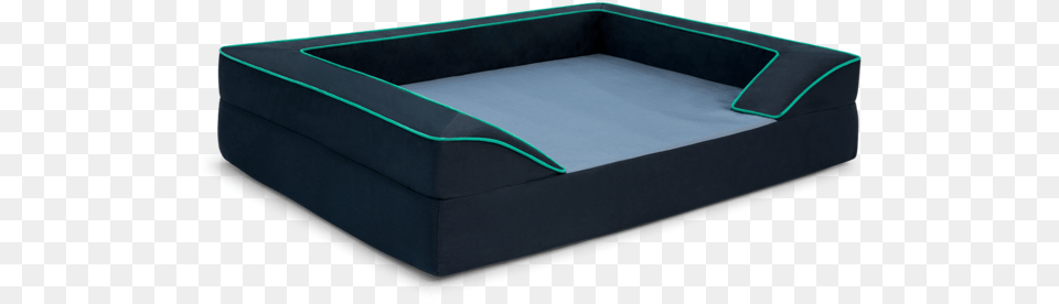 Jada Pet Bed Inflatable, Furniture, Couch, Hot Tub, Tub Png Image