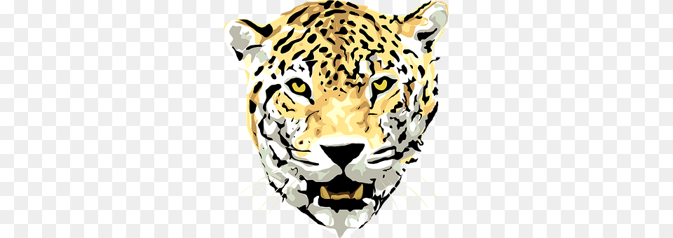 Jaguar Person, Animal, Mammal, Wildlife Png