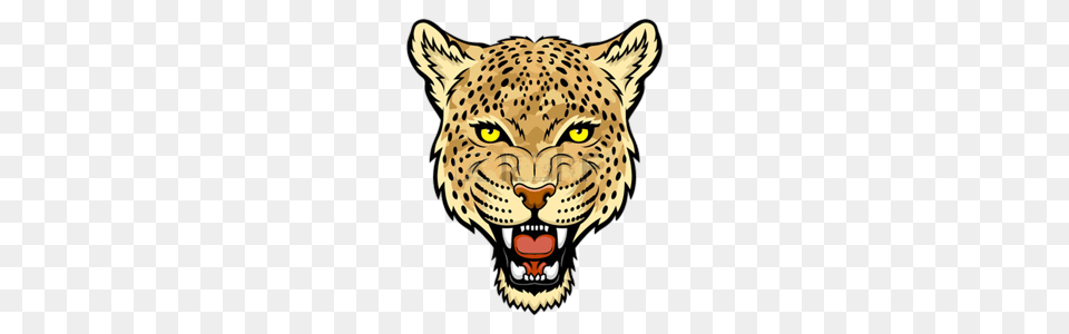 Jaguar, Animal, Cheetah, Mammal, Wildlife Free Png