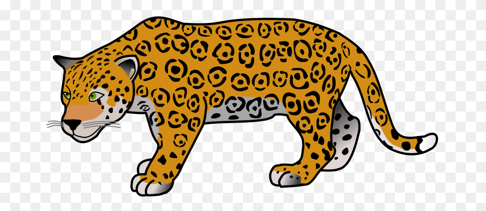Jaguar, Animal, Cheetah, Mammal, Wildlife Png