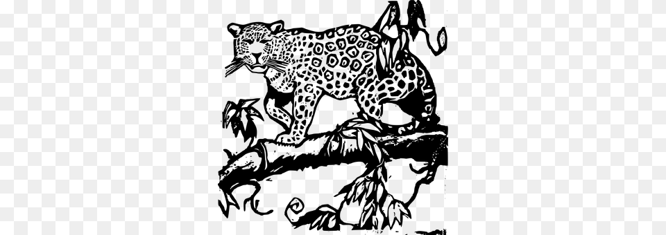 Jaguar Gray Free Png