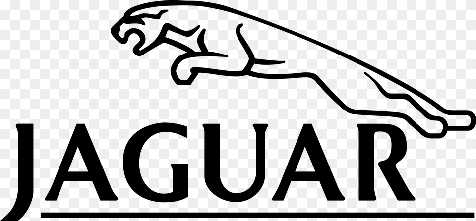 Jaguar, Gray Png Image